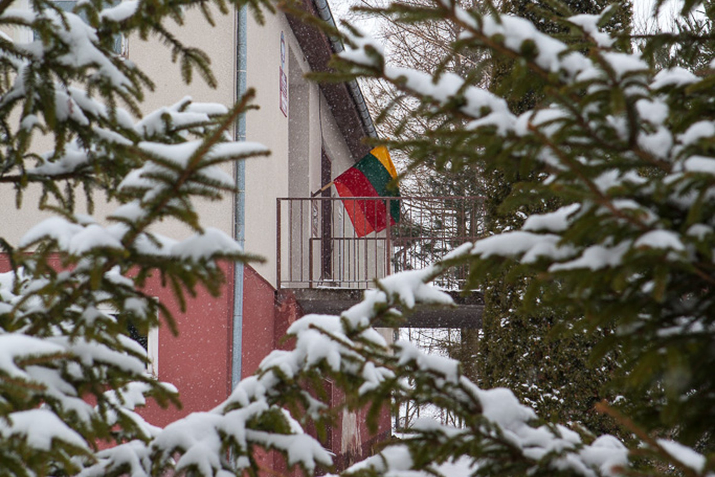 Iliustracija